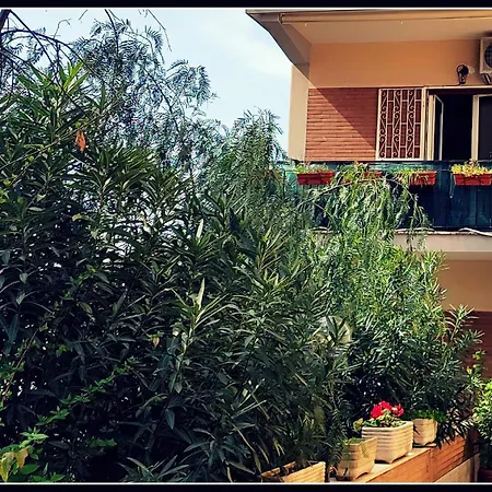 Il Cupolone In Pineta - Two Steps In The Pinewood Towards The Vatican!